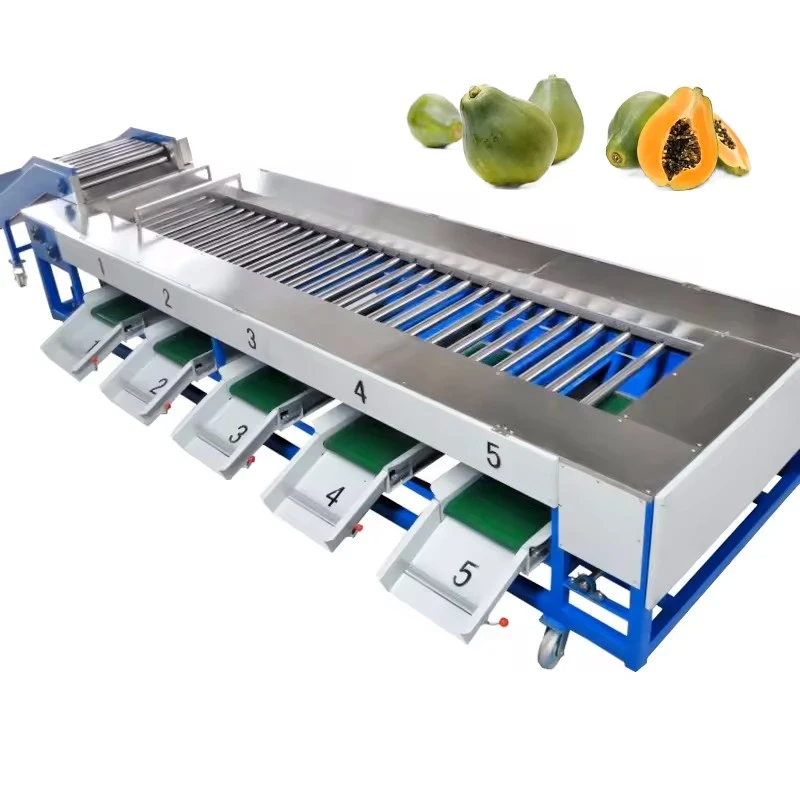 Carrot Potato Size Sorting Machine 2